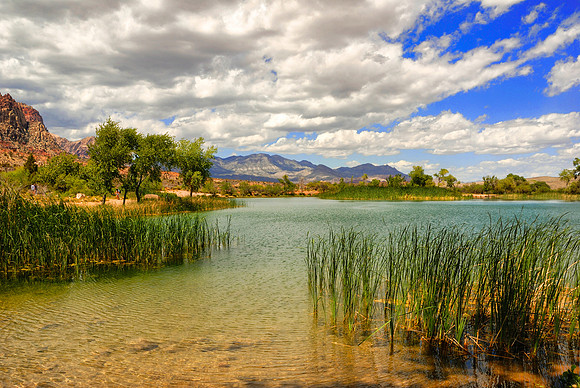 Spring Mountain Ranch State Park- Las Vegas, NV
