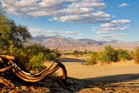 Death Valley-CA
