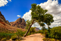 Spring Mountain Ranch State Park- Las Vegas, NV