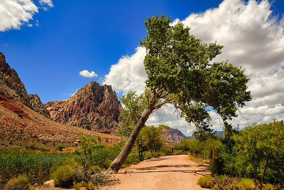 Spring Mountain Ranch State Park- Las Vegas, NV