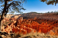Bryce Canyon-UT