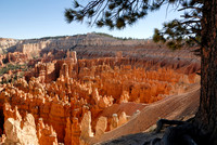 Bryce Canyon-UY