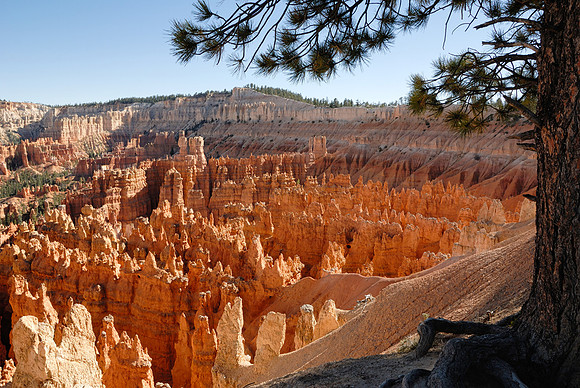 Bryce Canyon-UY